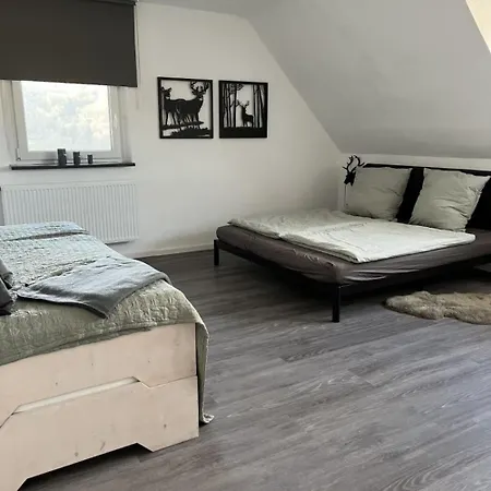 Eifelglueck Apartment Pelm